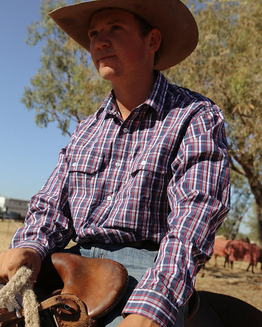 Person wearing a cowboy hat and plaid shirt sitting on a horse with trees and animals in the background.
